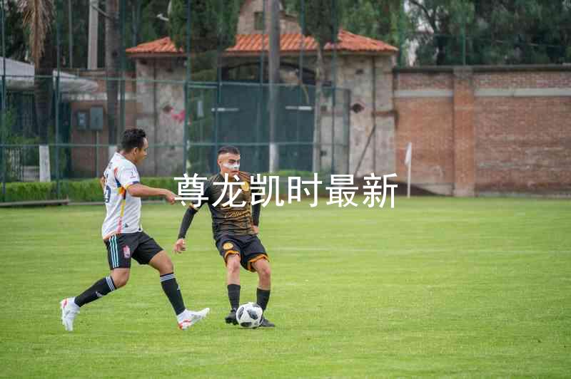 尊龙凯时最新