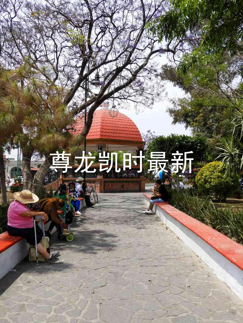 尊龙凯时最新